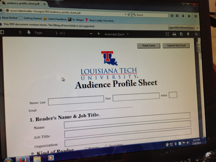 Audience Profile
          Sheet