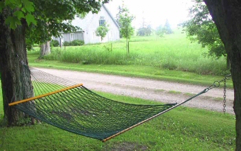 hammock