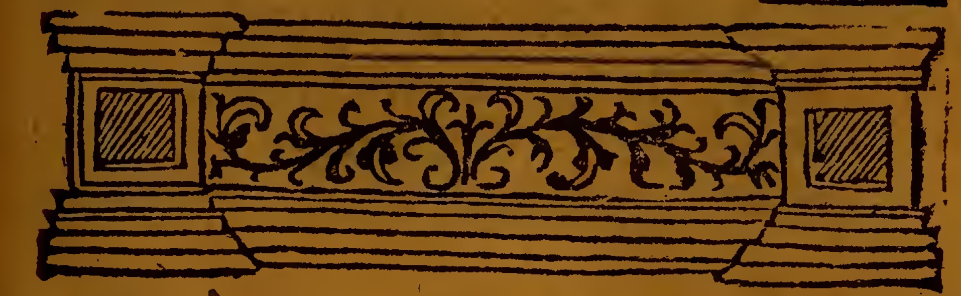 d'elvas page divider--top of toc