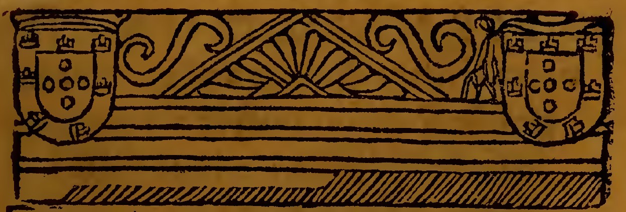 d'elvas page divider--top of toc